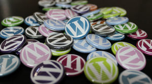 Supprimer le numéro de version de WordPress