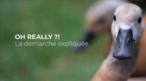 Bénévolat création de site internet