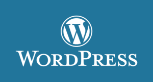 Comment personnaliser le CSS de votre site WordPress ?